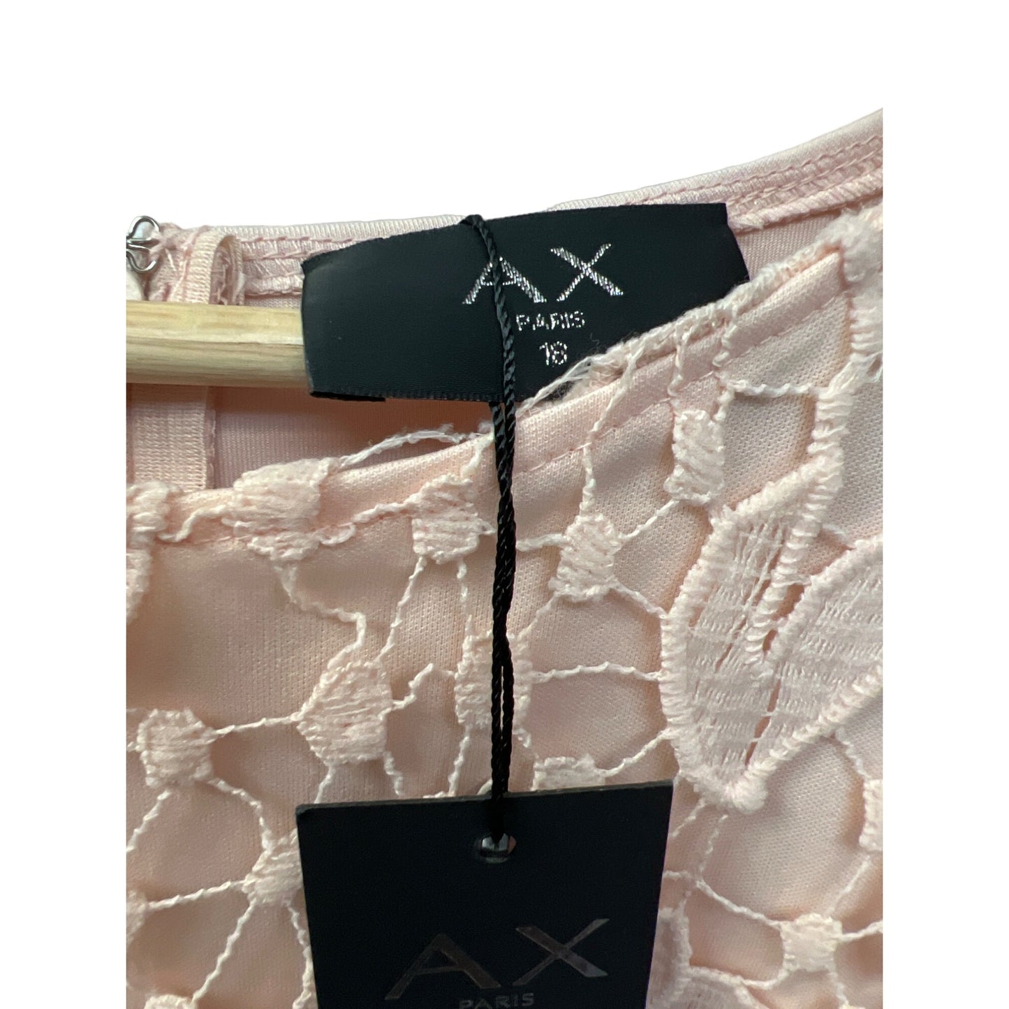 AX Paris NWT Pink Lace Crochet Overlay Sheath Dress with Scuba Back